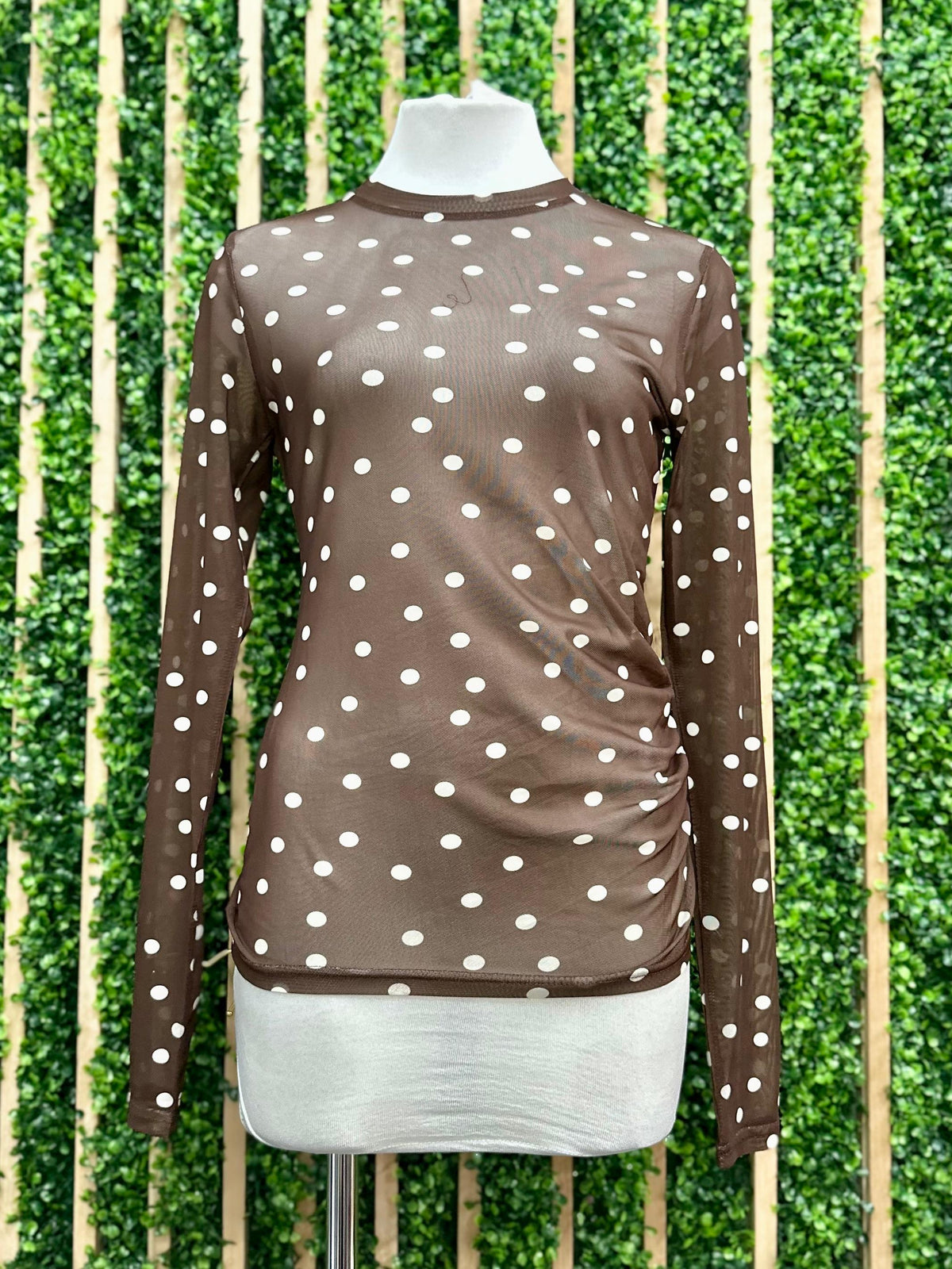 Long Sleeve Mesh Polka Dot Top