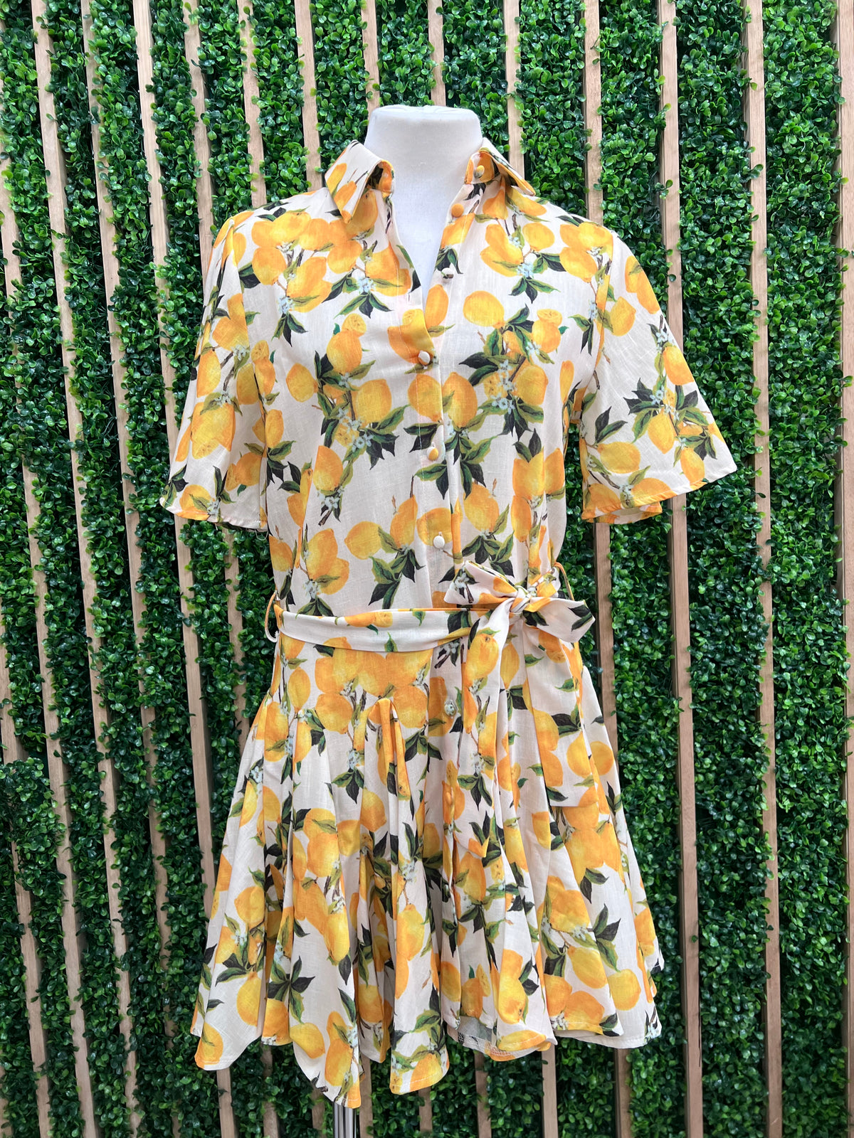 Beige Lemon Flared Short Blouse Dress