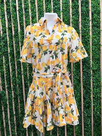 Beige Lemon Flared Short Blouse Dress