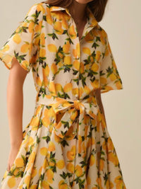 Beige Lemon Flared Short Blouse Dress