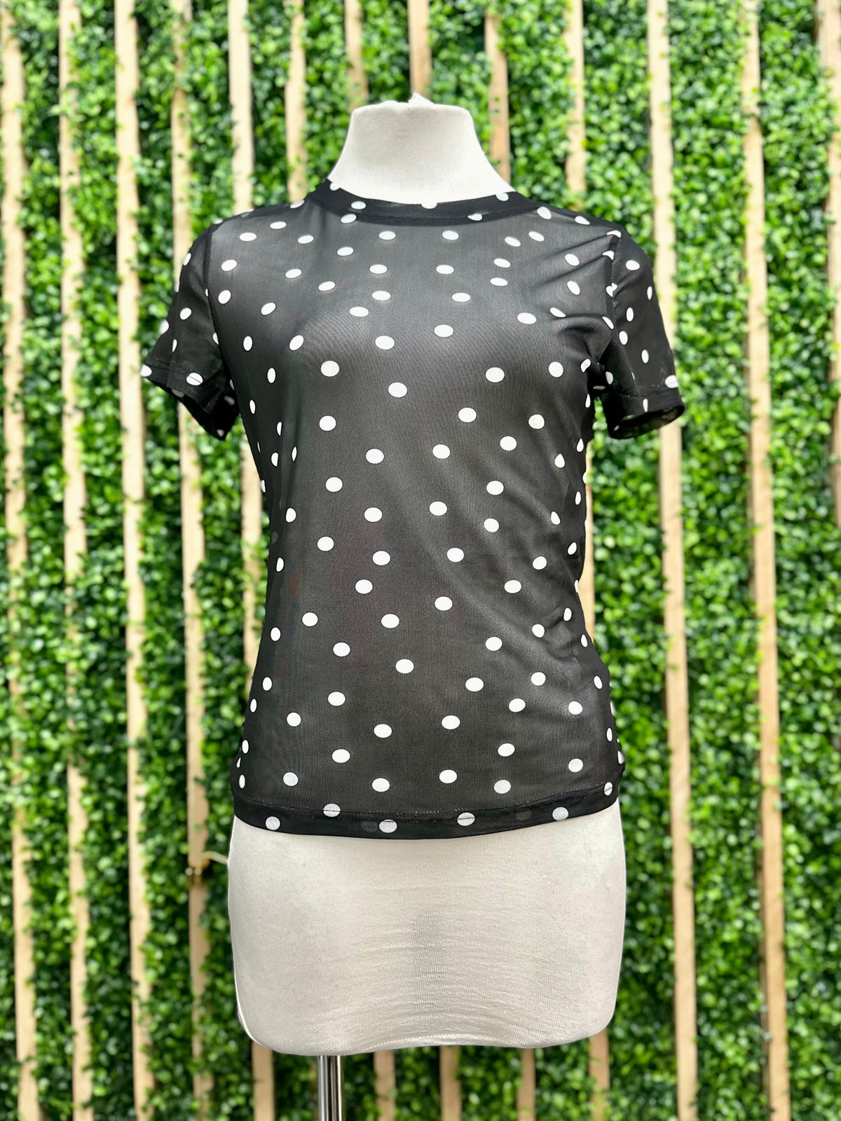 Short Sleeve Mesh Polka Dot Top
