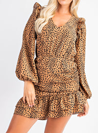 Leopard Ruched V Neck Mini Dress