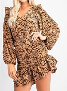 Leopard Ruched V Neck Mini Dress