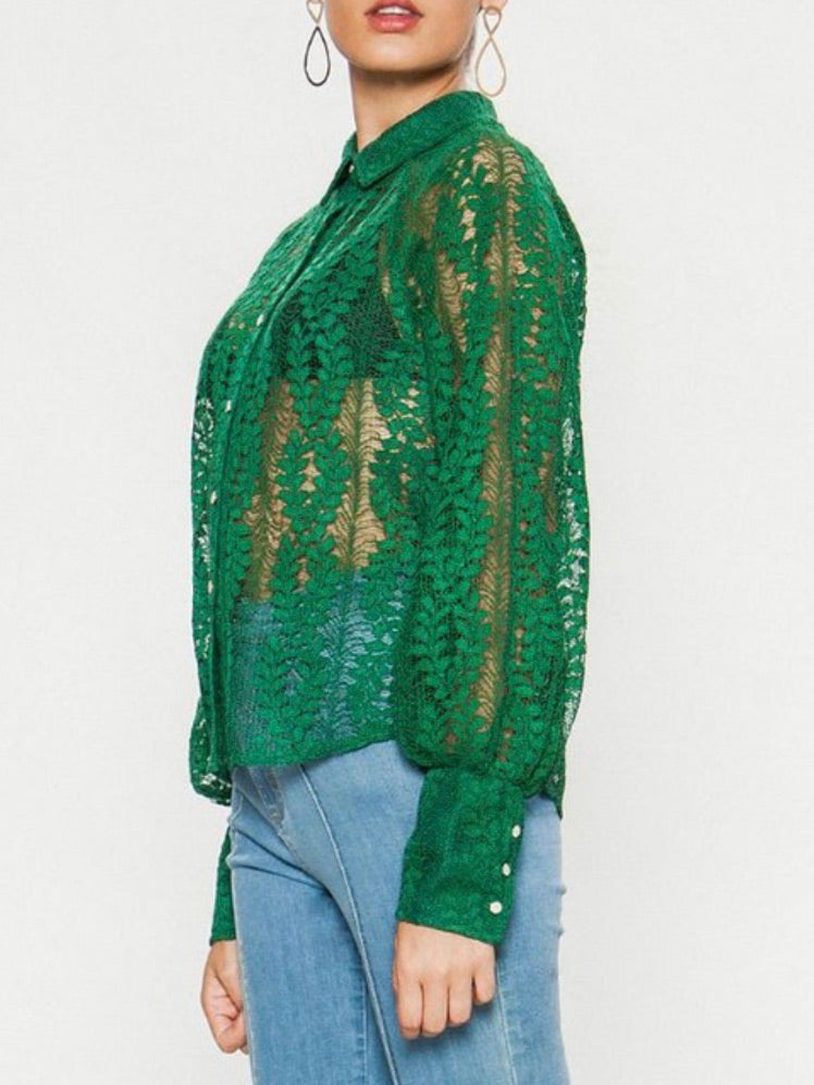 Green Organza Long Sleeve Blouse