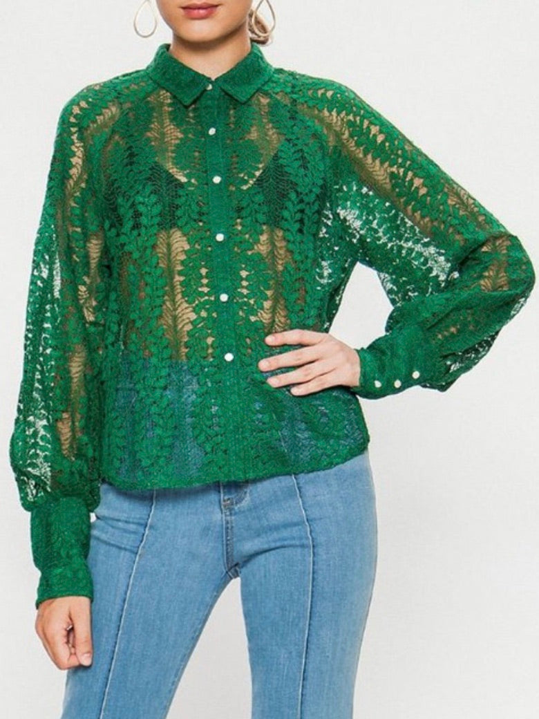 Green Organza Long Sleeve Blouse