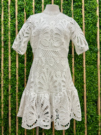 Beautiful Fitted Drop Waist Lace Short Dress