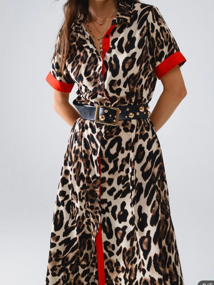 Red Trim Brown Leopard Blouse Dress