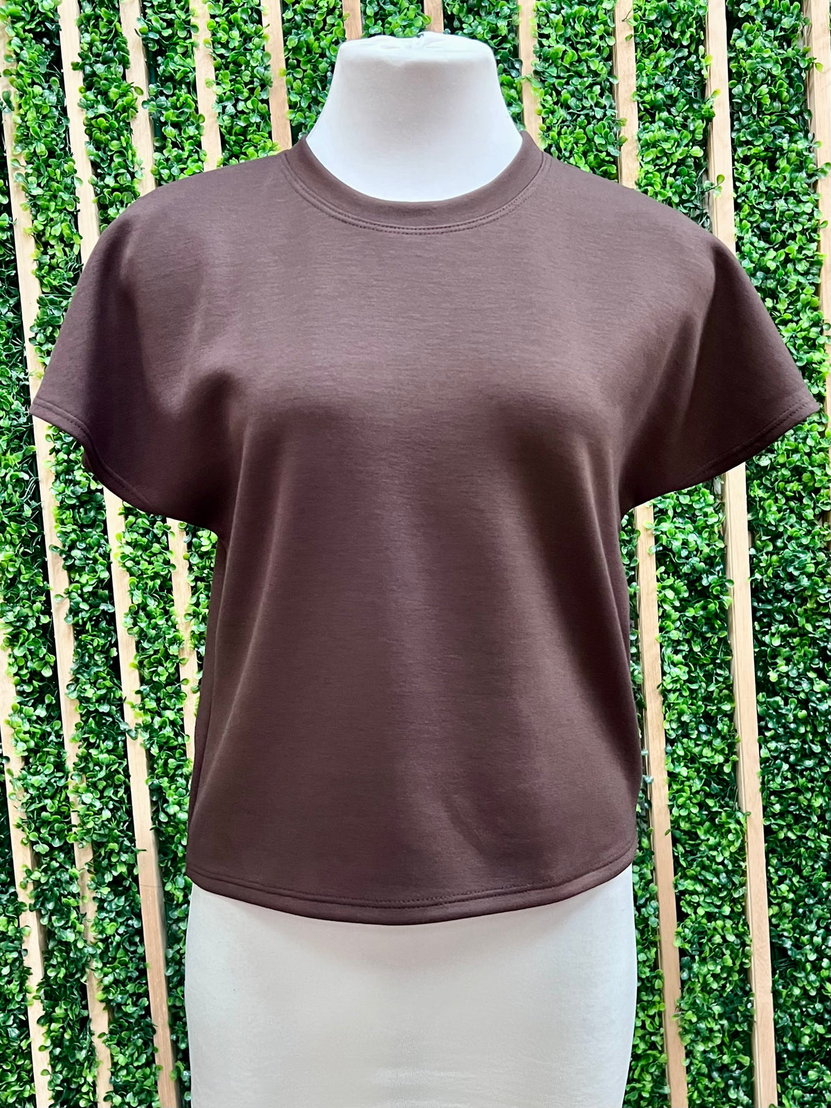 Modal Cap Short Sleeve Top