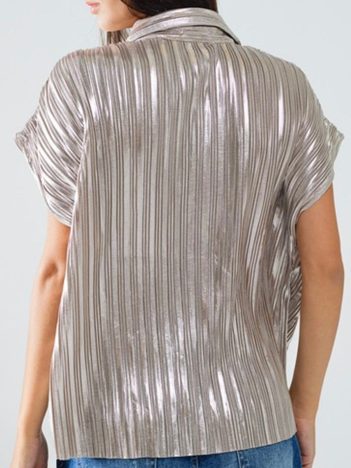 Silver Pleated Blouse