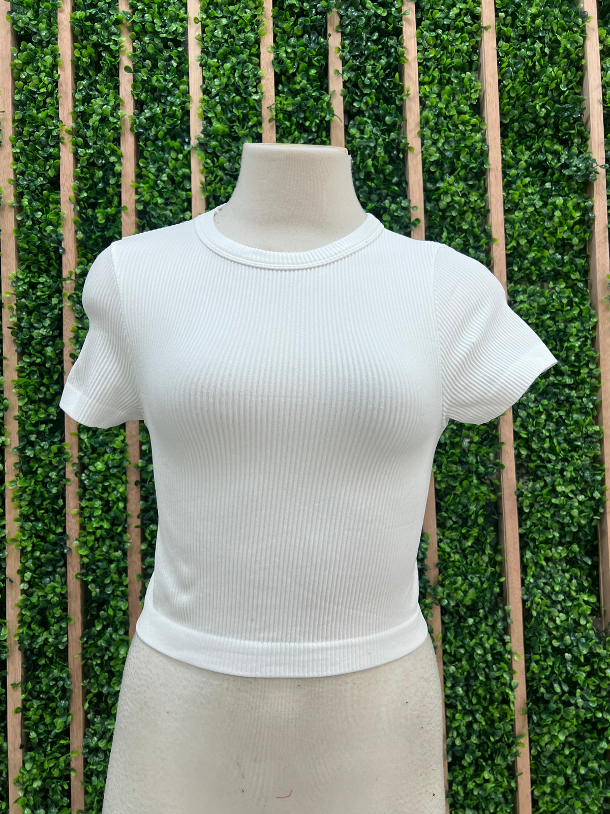 RIbbed Short Sleeve Crop Basic Top