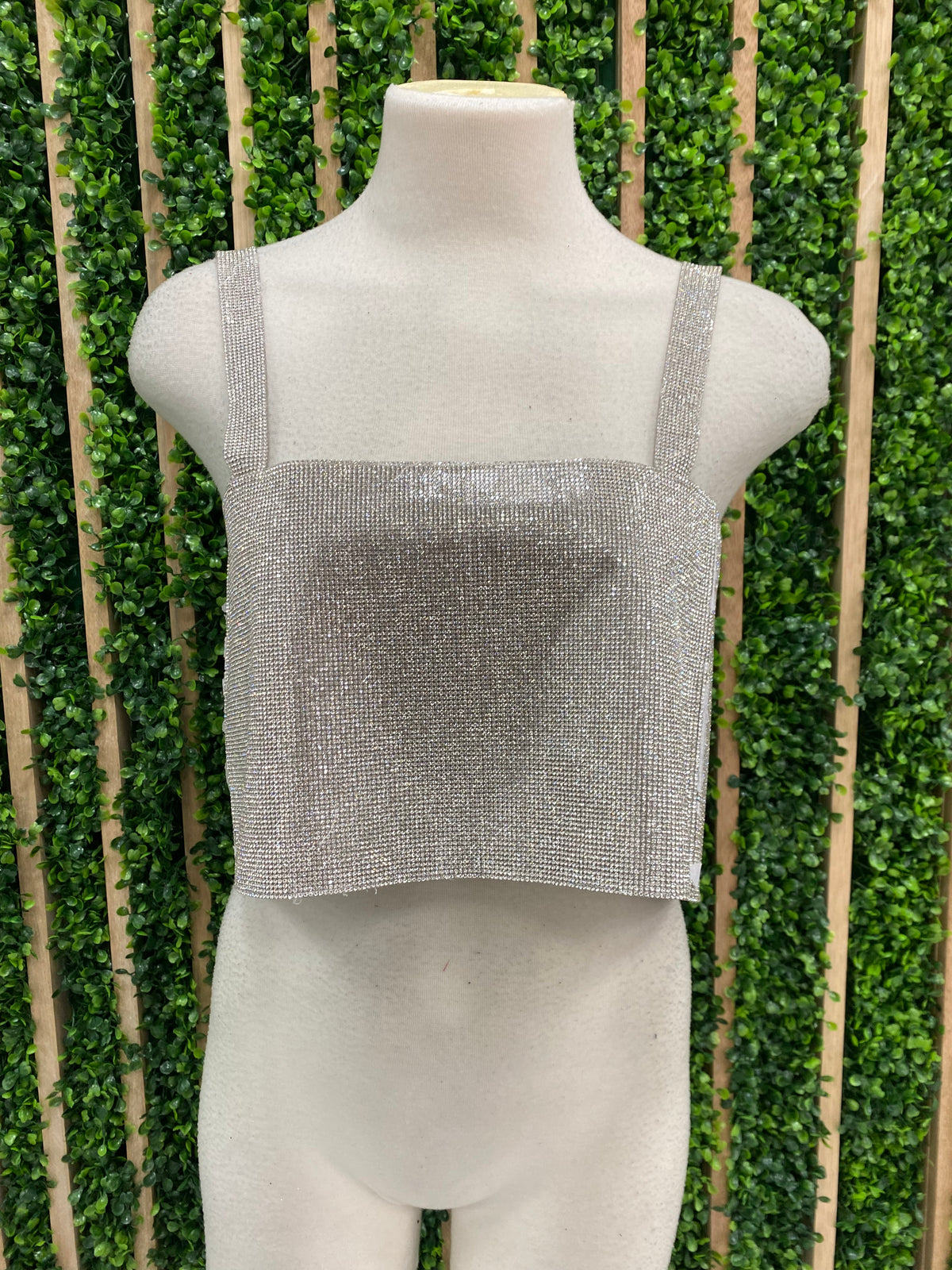 Silver Crystal Crop Top