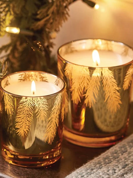 Frasier Fir Gilded Gold Heritage Candle