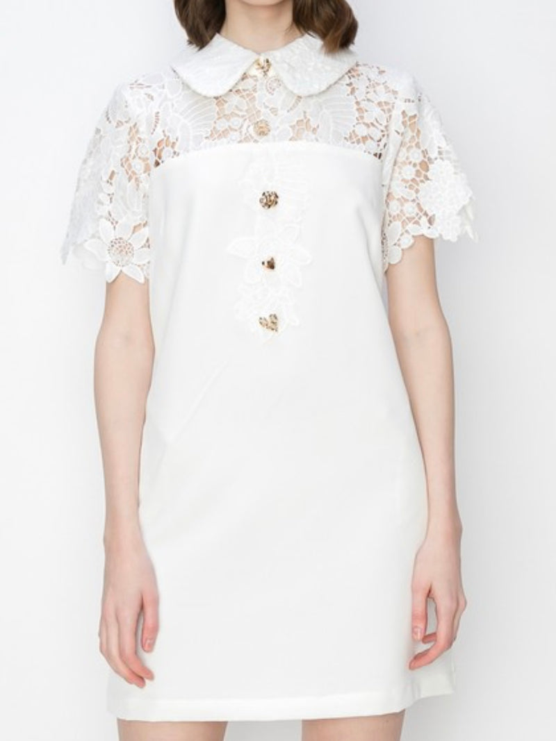 Exquisite Lace Collar Short Dress