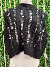 Beautiful Sequin Detail Knit High Neck Top