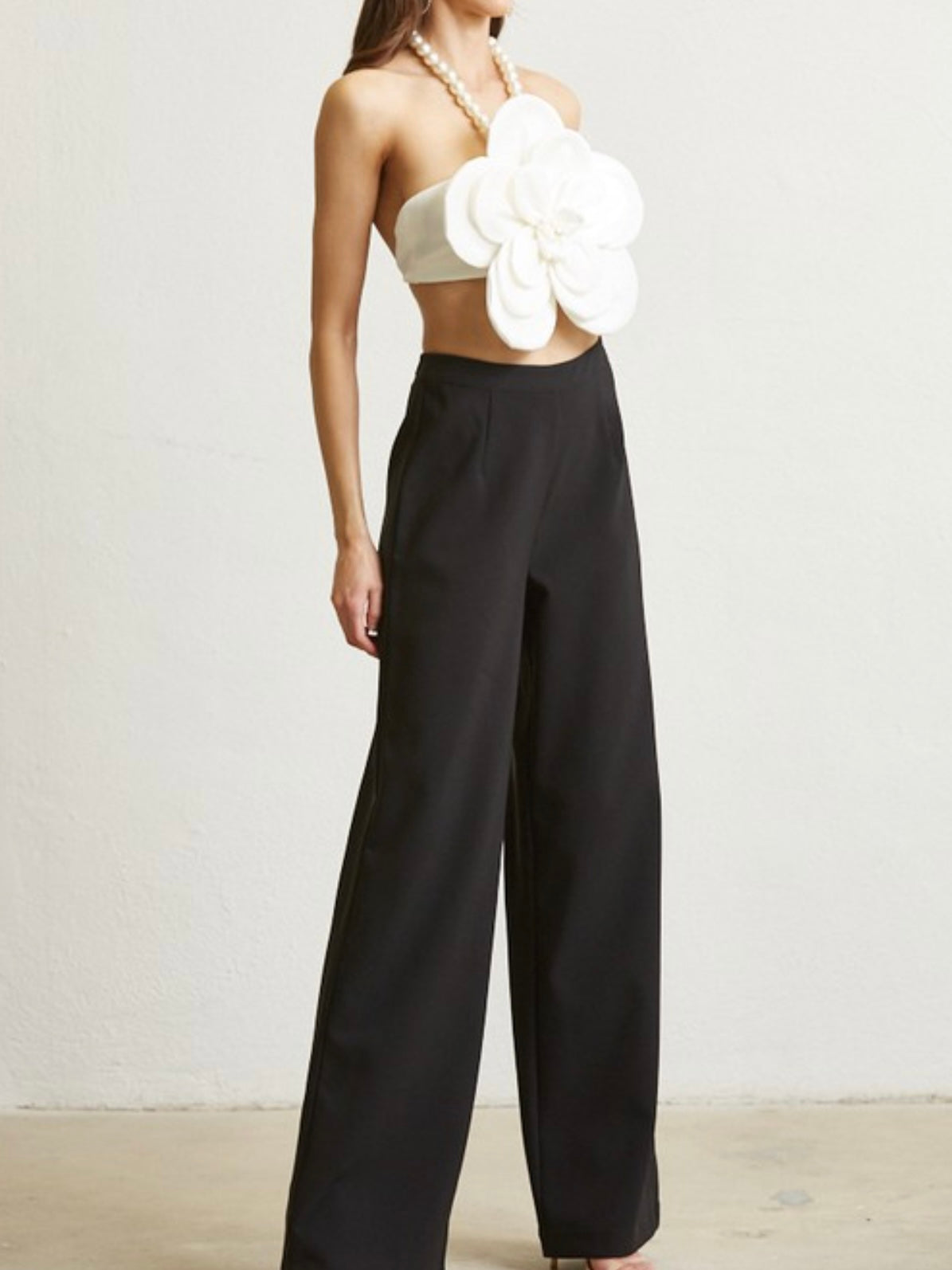 Black Wide Leg Dressy Zipper Pant