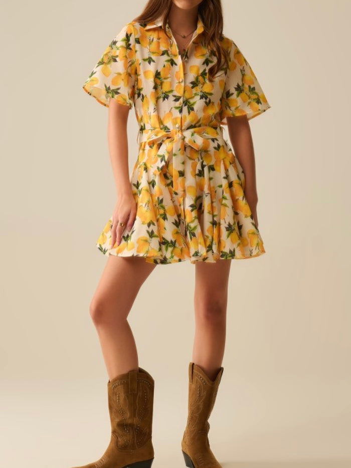 Beige Lemon Flared Short Blouse Dress