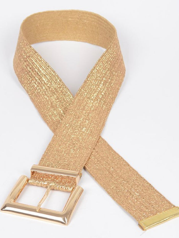 Large Rectangle Metallic Stretch Straw Belt