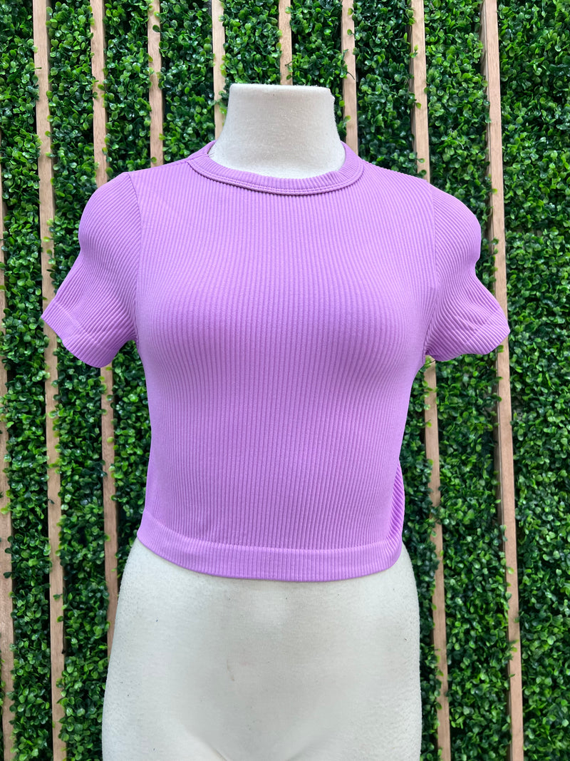 RIbbed Short Sleeve Crop Basic Top