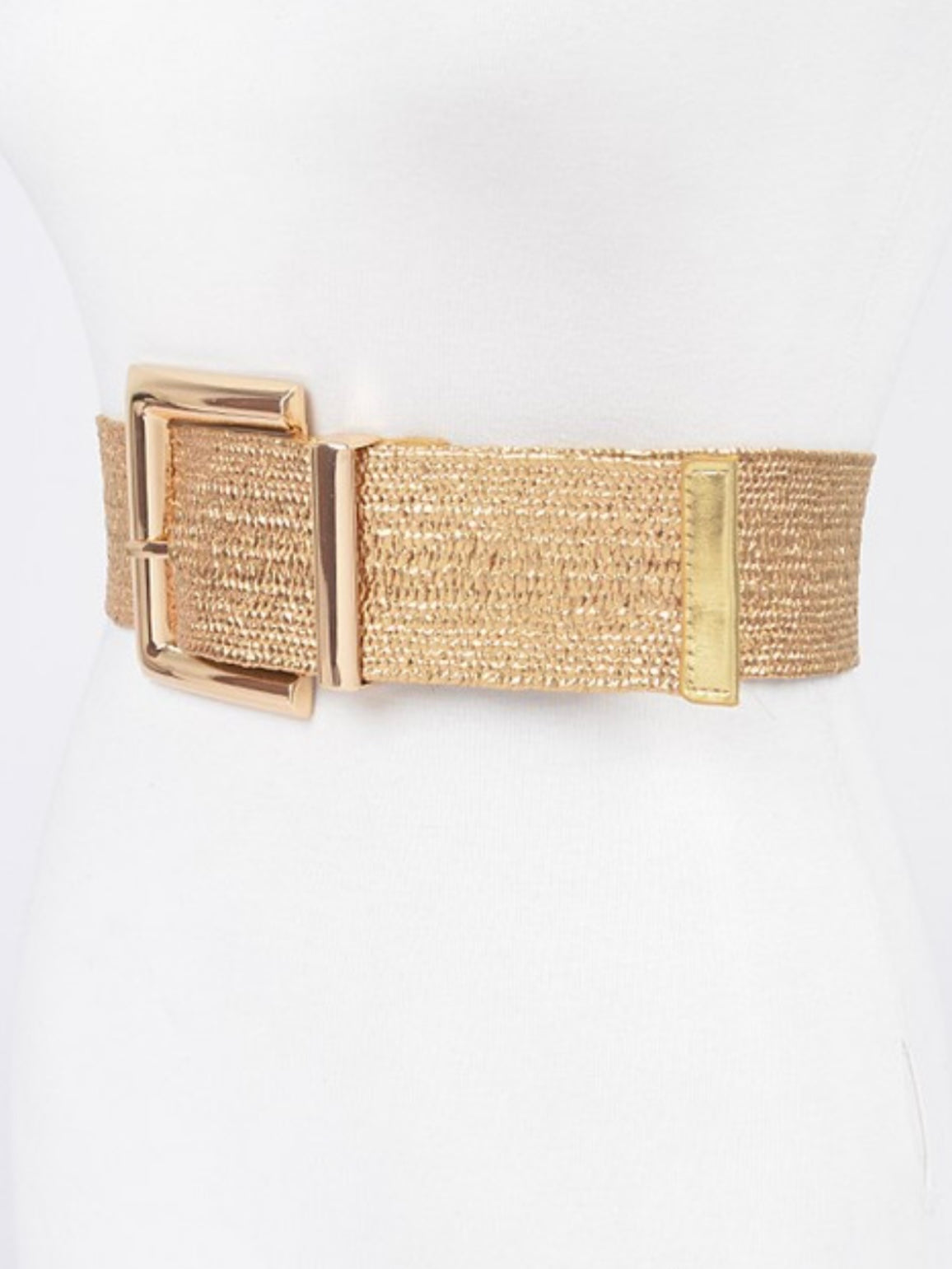 Large Rectangle Metallic Stretch Straw Belt