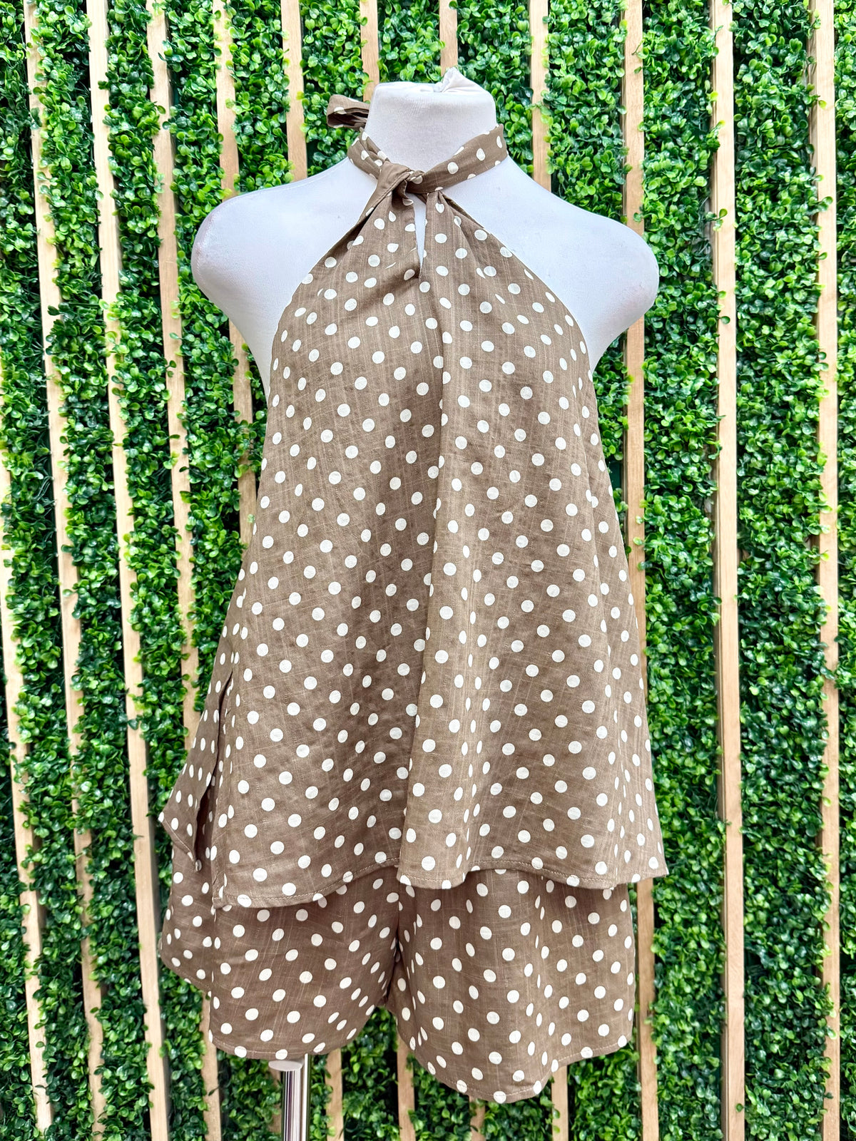 Brown Polka Dot Short Pant