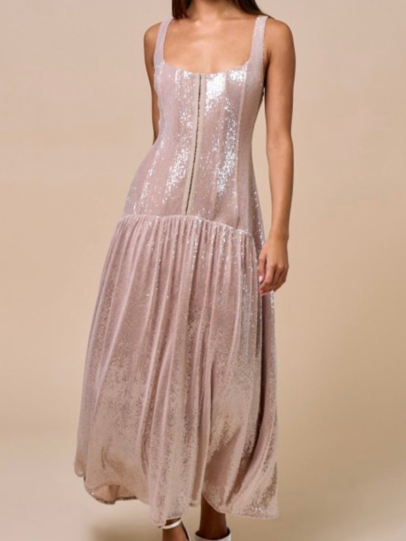 Beautiful Sequin Corset Midi Dress