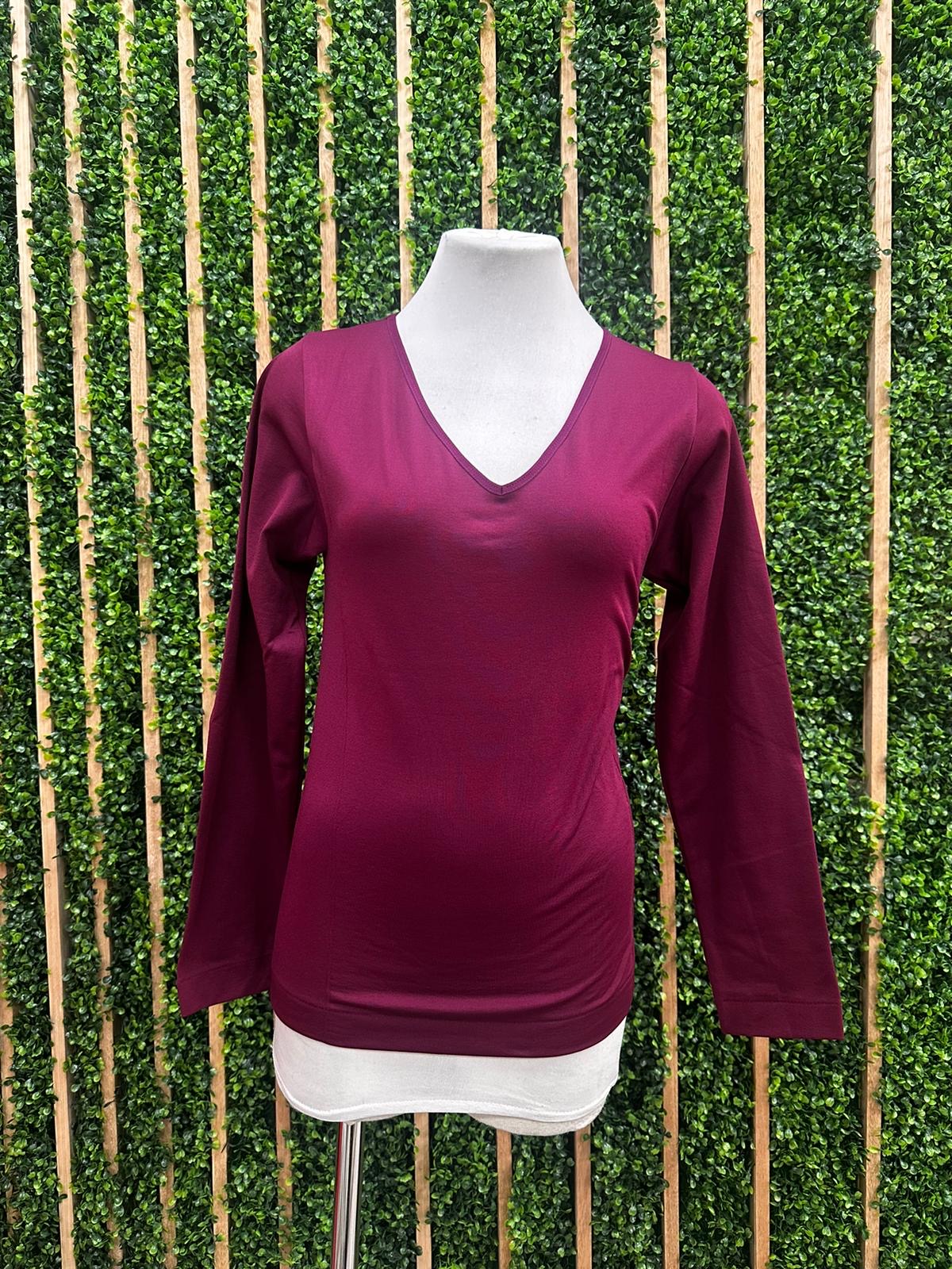 Seamless Fleece Lined V Neck Long Sleeve Top