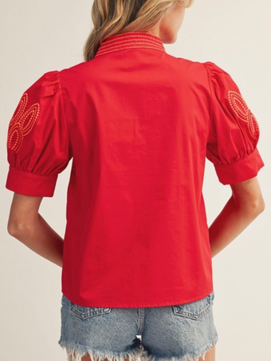 Beautiful Embroidered Sleeve Blouse
