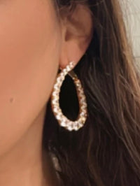 Naomy Paved Earring