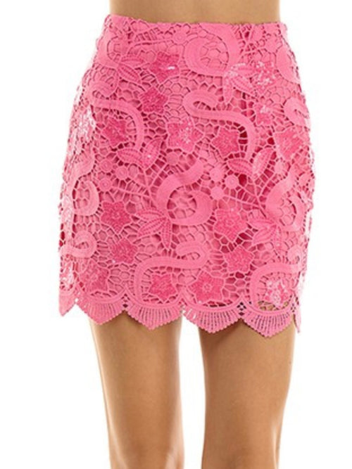 Delicate Pink Lace Skirt