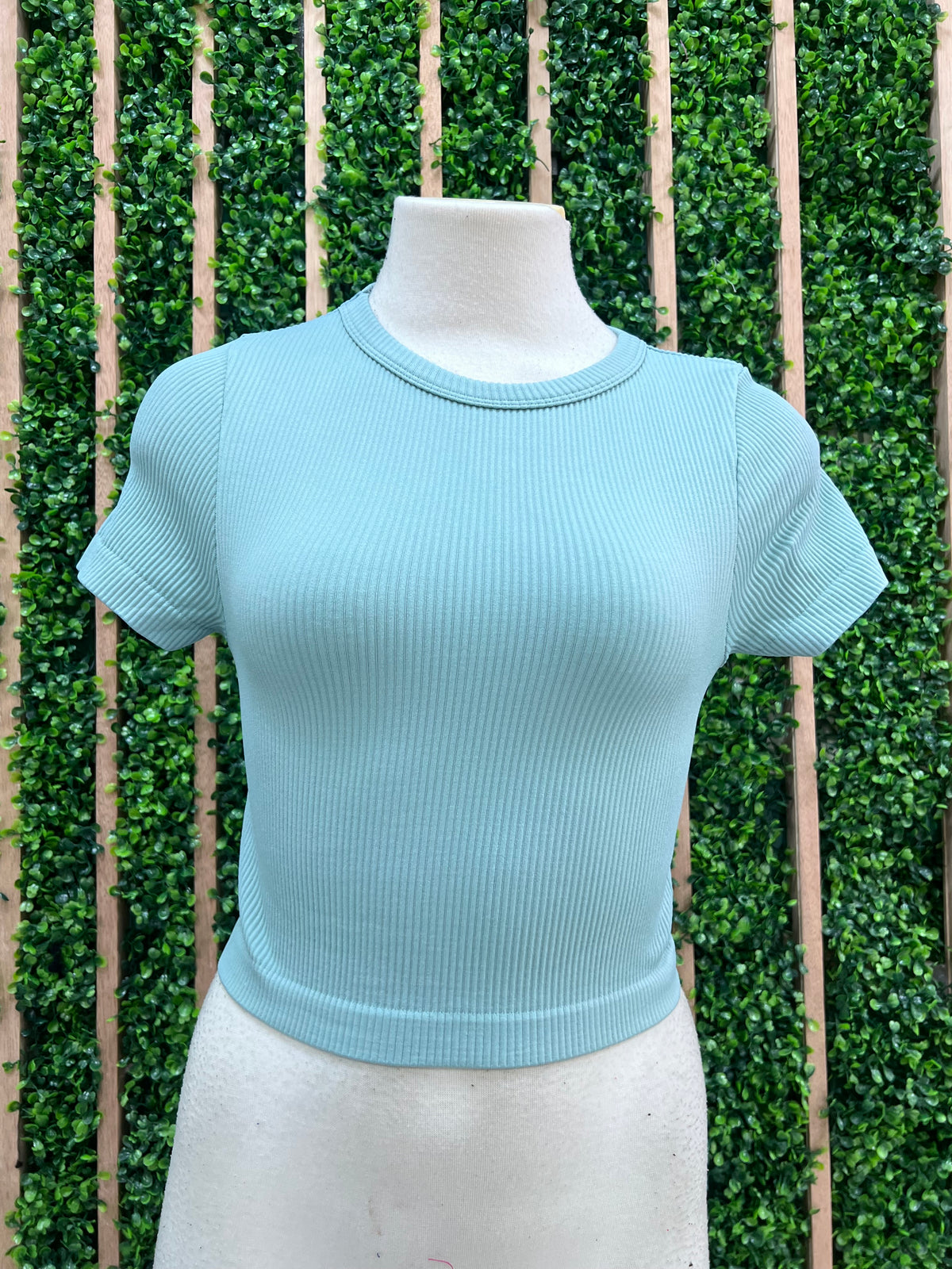 RIbbed Short Sleeve Crop Basic Top