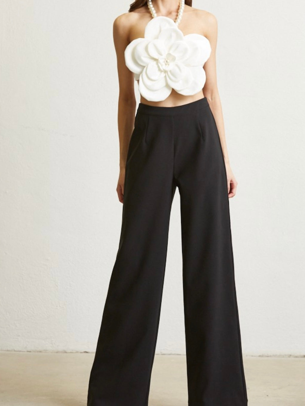 Black Wide Leg Dressy Zipper Pant