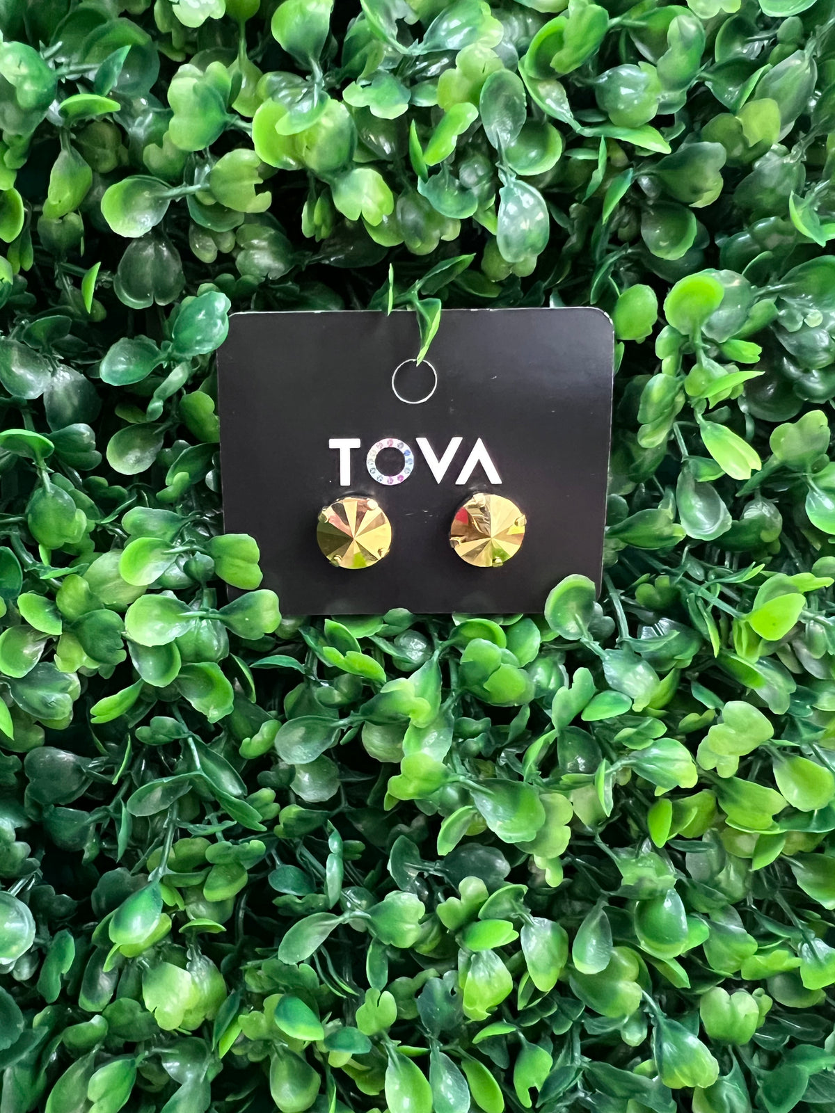Tova Basics Studs
