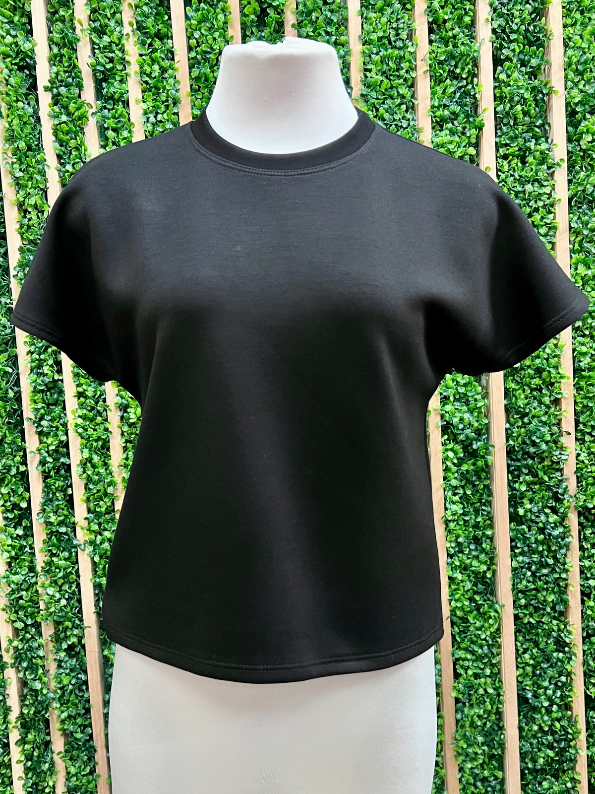 Modal Cap Short Sleeve Top