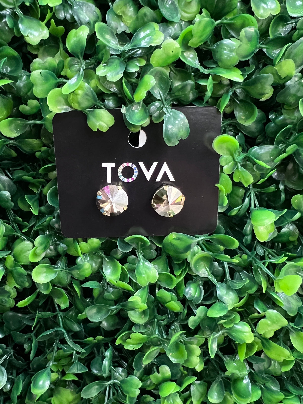 Tova Basics Studs