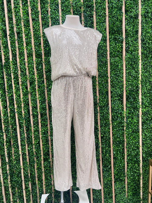 Ivory Silver Sequin Wide Leg Pants