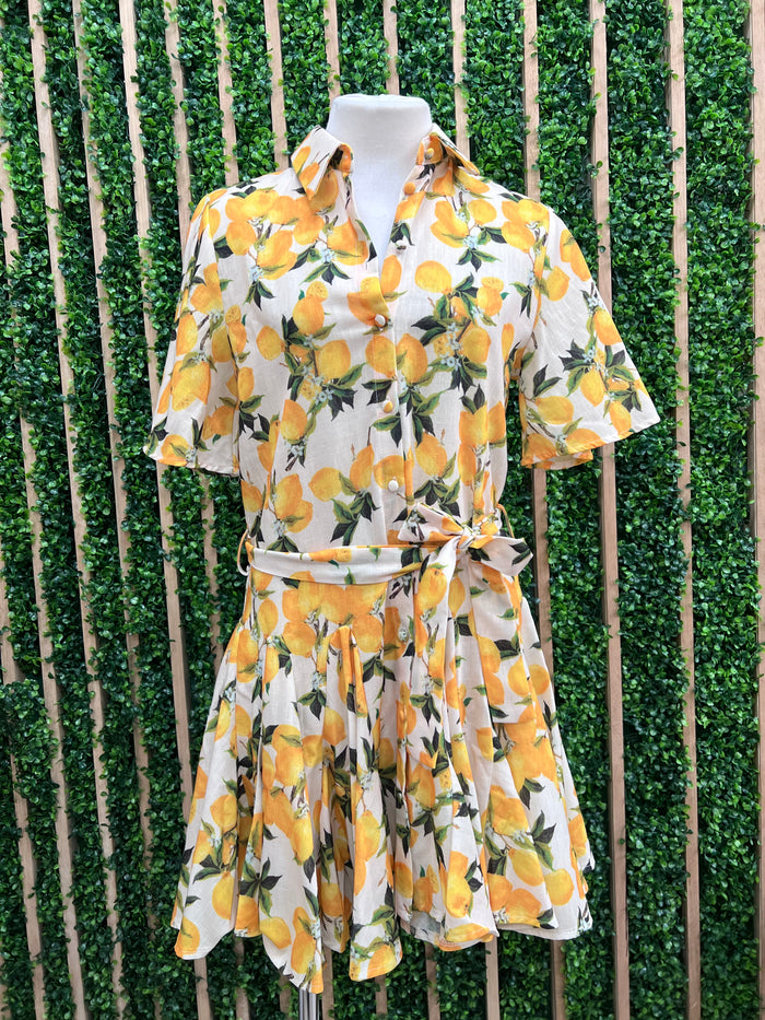 Beige Lemon Flared Short Blouse Dress
