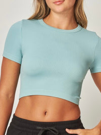 RIbbed Short Sleeve Crop Basic Top