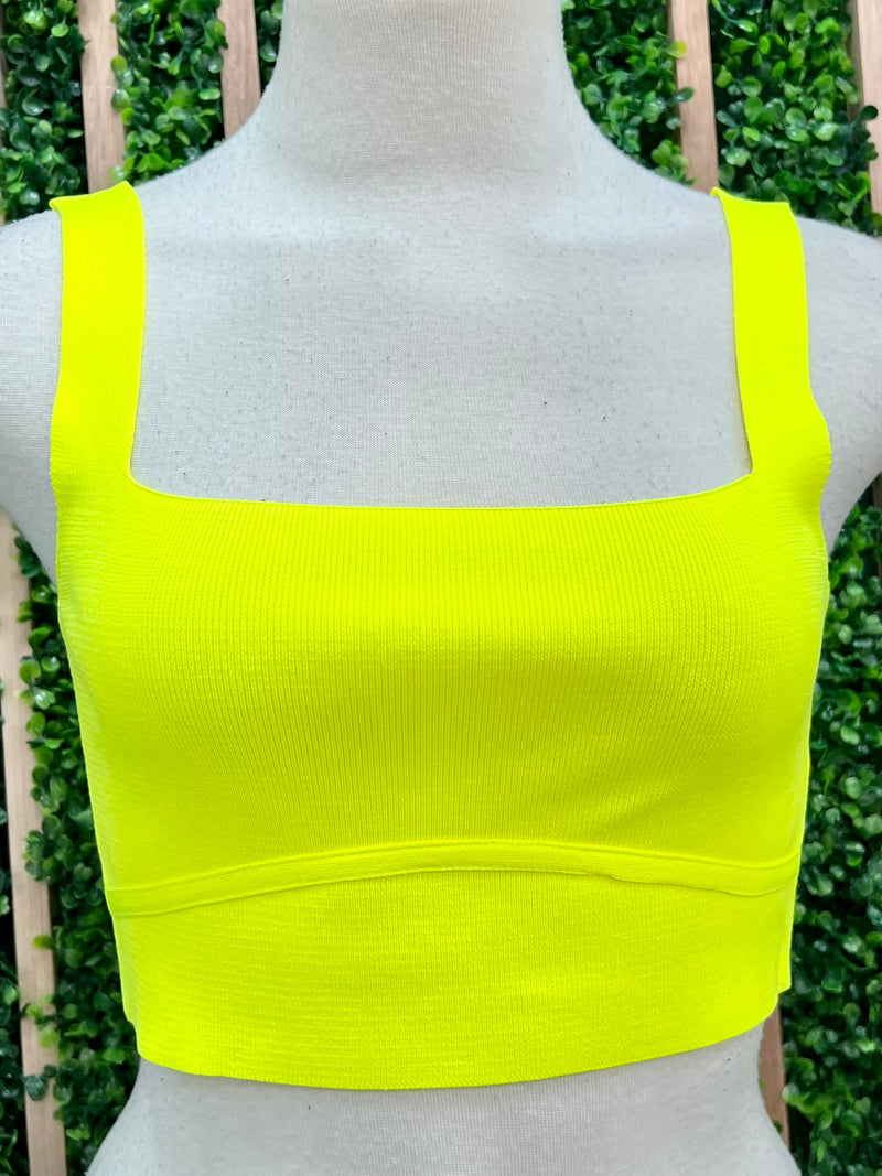 Seam Detail Crop Top