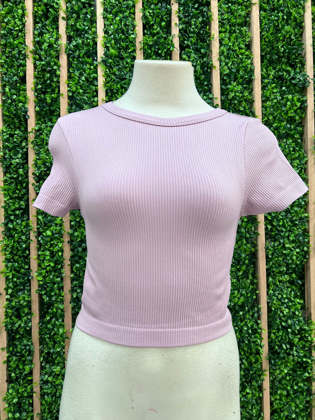 RIbbed Short Sleeve Crop Basic Top