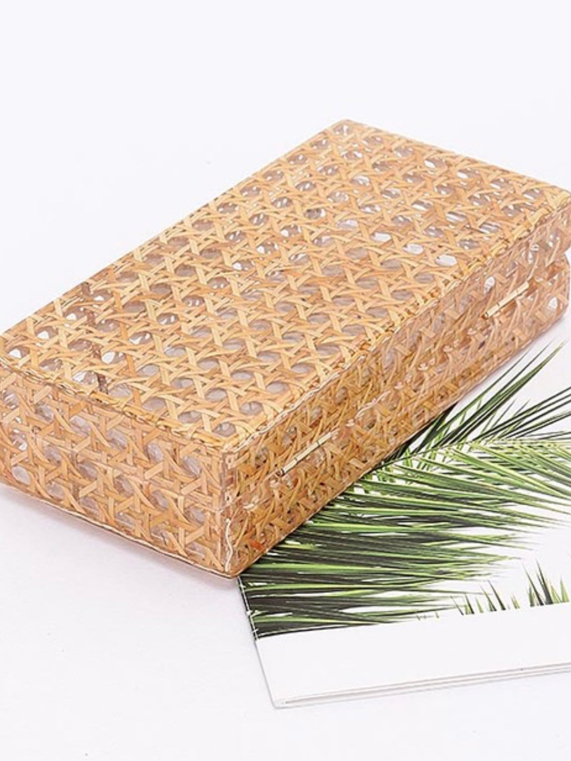 Acrylic Bamboo Case Bag