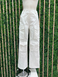 Metallic Finish Cargo Pant