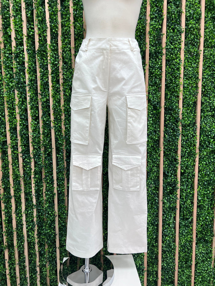Metallic Finish Cargo Pant