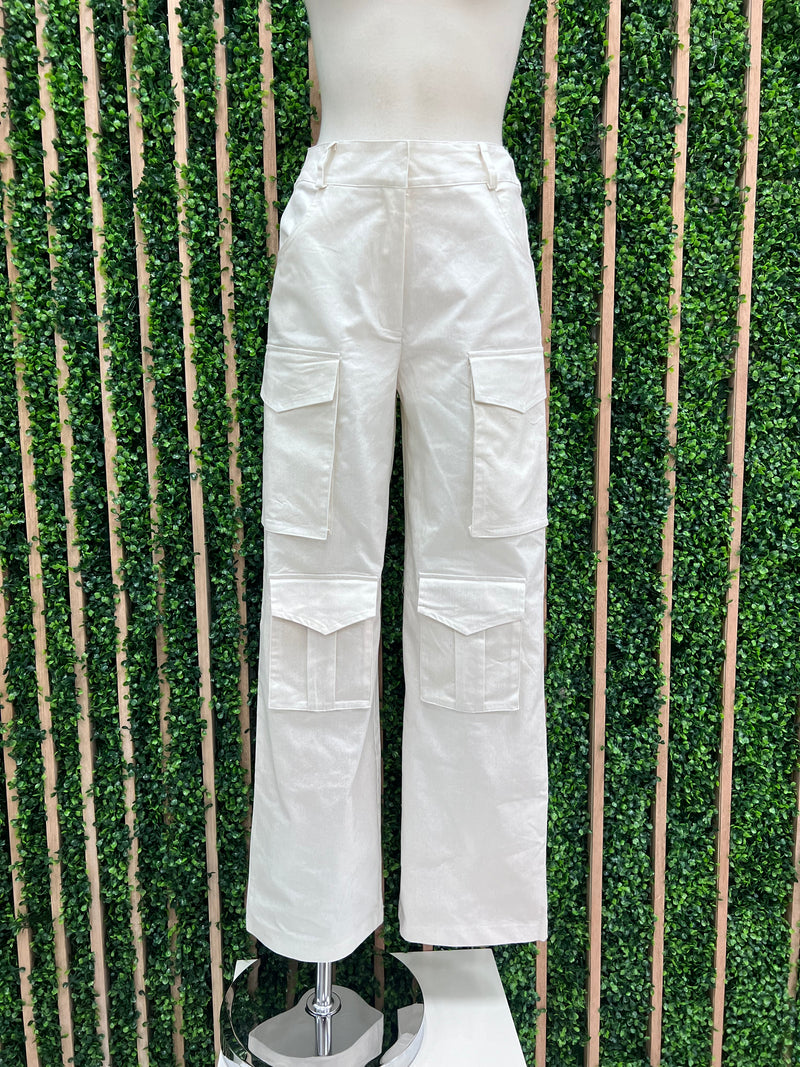 Metallic Finish Cargo Pant