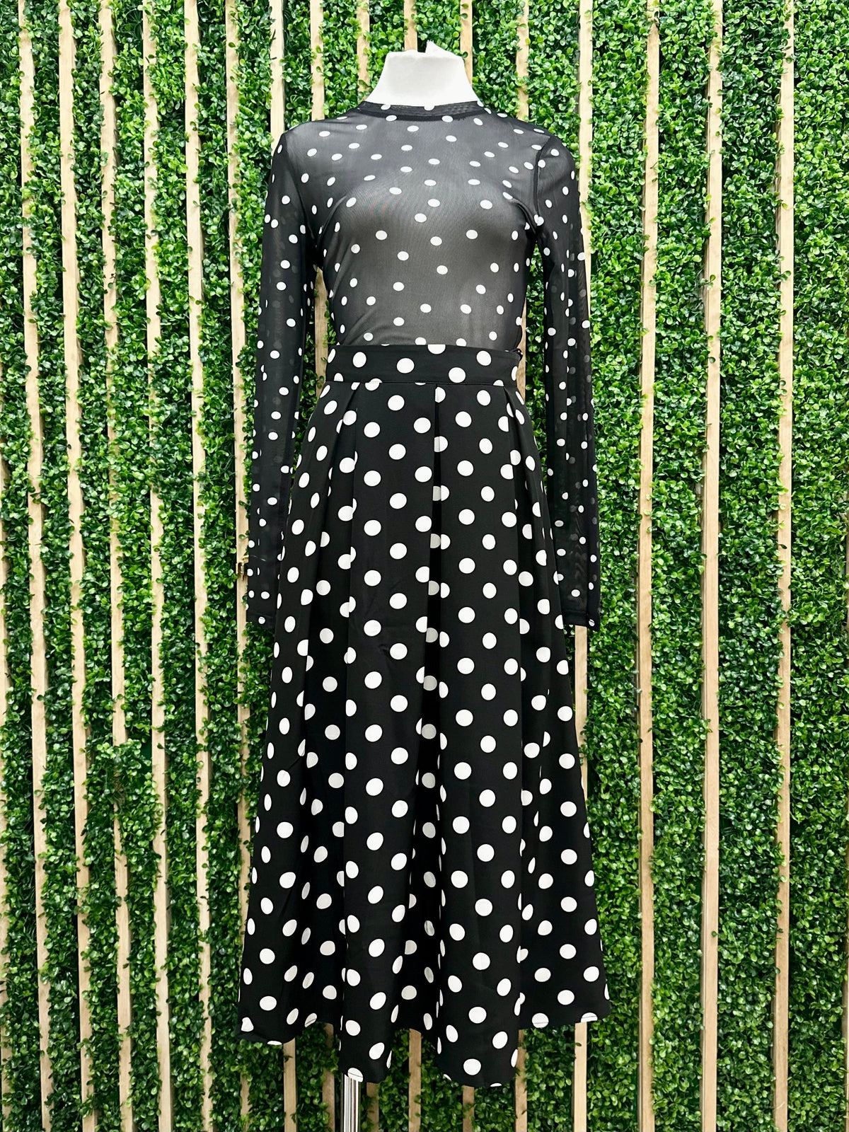 Long Sleeve Mesh Polka Dot Top