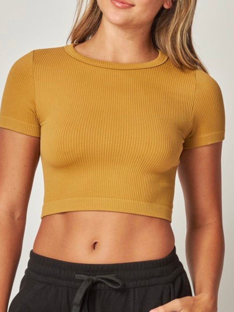 RIbbed Short Sleeve Crop Basic Top