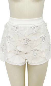 Beautiful White Lace Skort