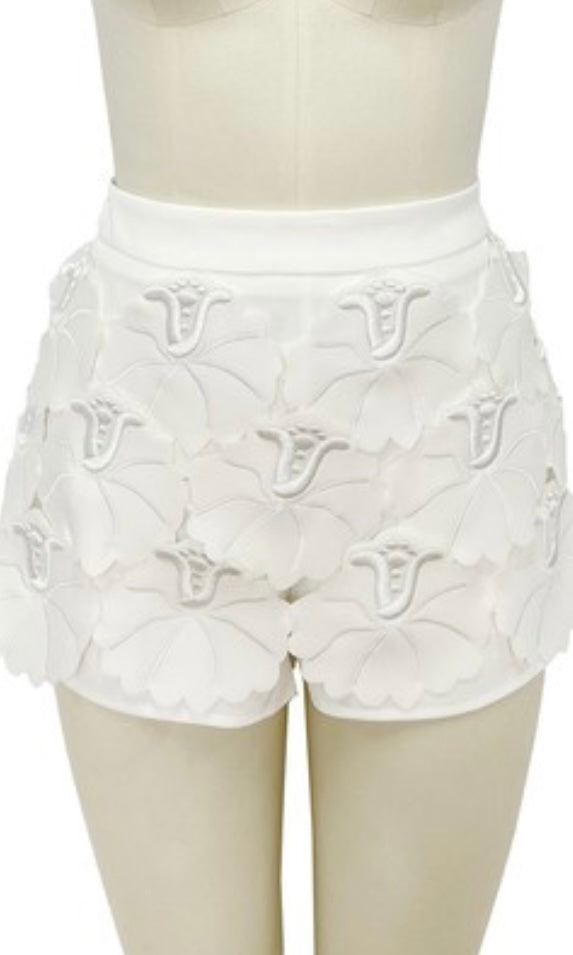 Beautiful White Lace Skort