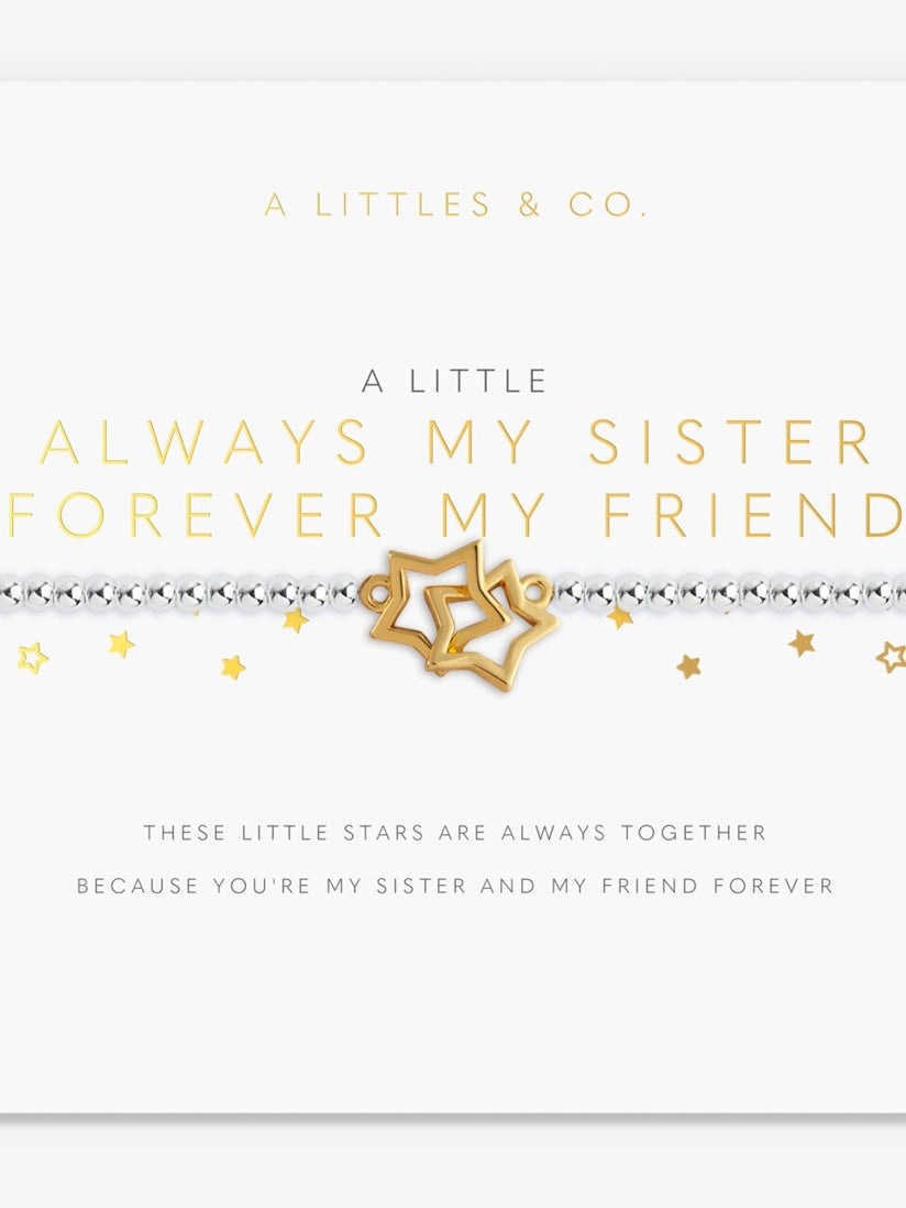 Little Moment  Always My Sister Forever My Friend