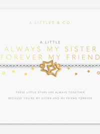 Little Moment  Always My Sister Forever My Friend