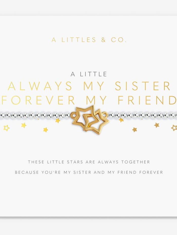 Little Moment  Always My Sister Forever My Friend